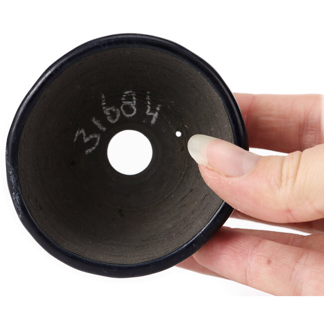 Vaso bonsai rotondo blu di Bonsai - 75 x 75 x 35 mm