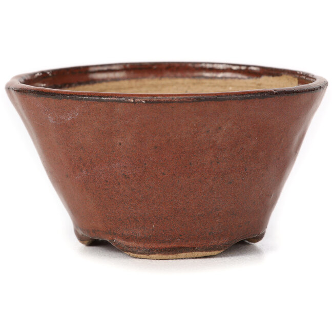 Pot à bonsaï rond brun rouge par Bonsai - 75 x 75 x 40 mm