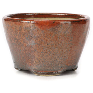 Bonsai Pot à bonsaï rond rouge brun 70 mm par Bonsai, Japon