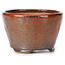 Runde rotbraune Bonsaischale von Bonsai - 70 x 70 x 45 mm