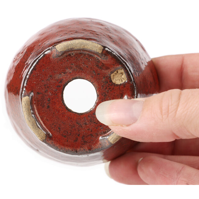 Vaso per bonsai rotondo rosso marrone di Bonsai - 70 x 70 x 45 mm