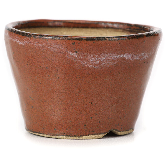 Runde rotbraune Bonsaischale von Bonsai - 65 x 65 x 45 mm