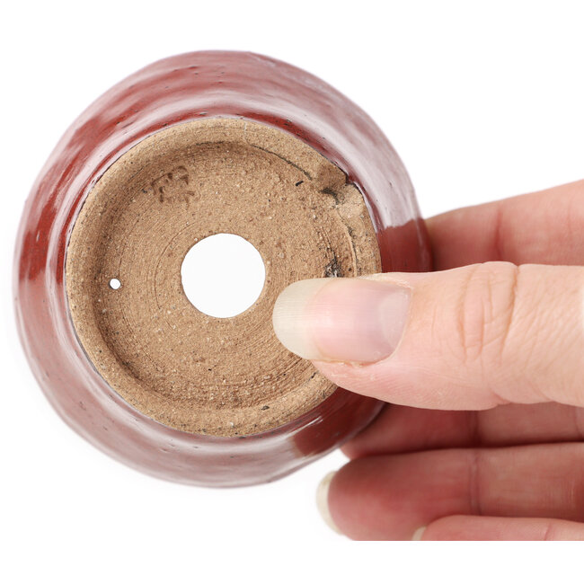 Maceta de bonsái redonda marrón rojiza de Bonsai - 65 x 65 x 45 mm