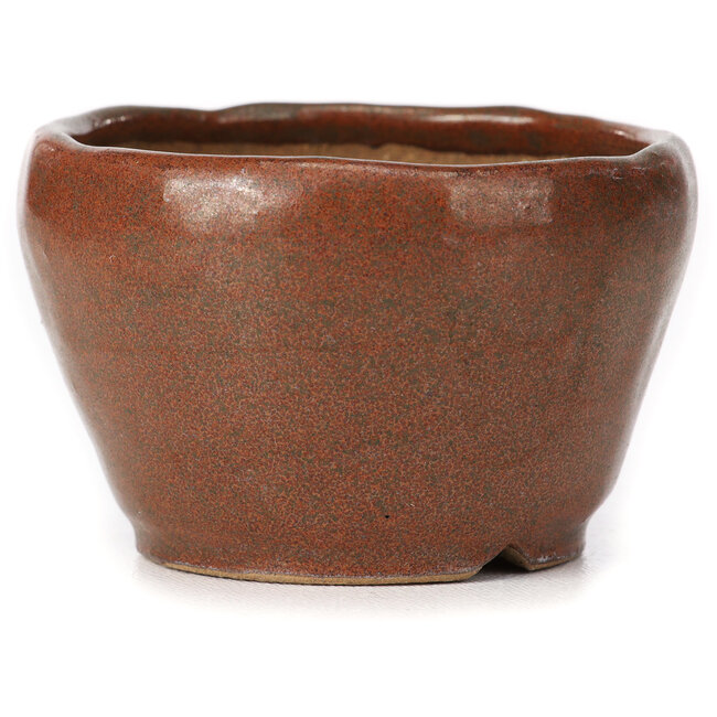 Runde rotbraune Bonsaischale von Bonsai - 75 x 75 x 45 mm