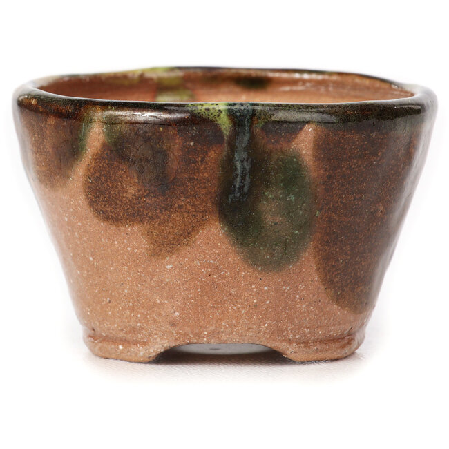 Round green and brown bonsai pot by Bonsai - 70 x 70 x 45 mm
