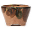 Round green and brown bonsai pot by Bonsai - 70 x 70 x 45 mm