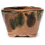Round green and brown bonsai pot by Bonsai - 70 x 70 x 45 mm
