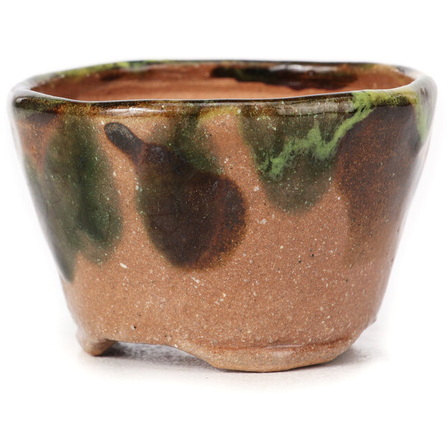 Round green and brown bonsai pot by Bonsai - 70 x 70 x 45 mm