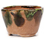 Round green and brown bonsai pot by Bonsai - 70 x 70 x 45 mm