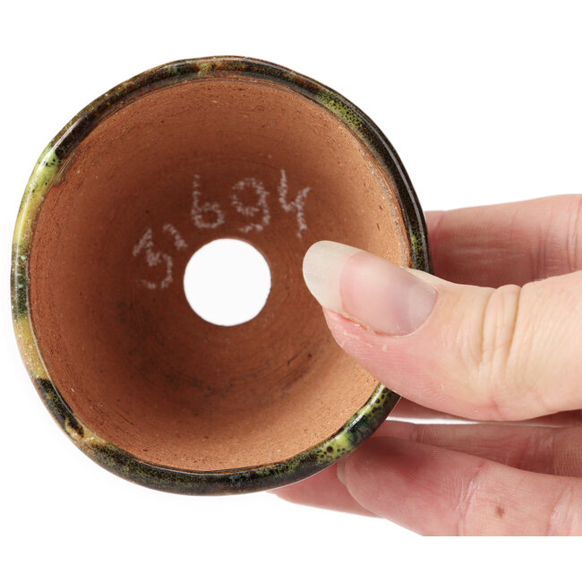 Pot à bonsaï rond vert et marron par Bonsai - 70 x 70 x 45 mm