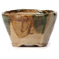 Pot à bonsaï rond vert et marron par Bonsai - 70 x 70 x 45 mm