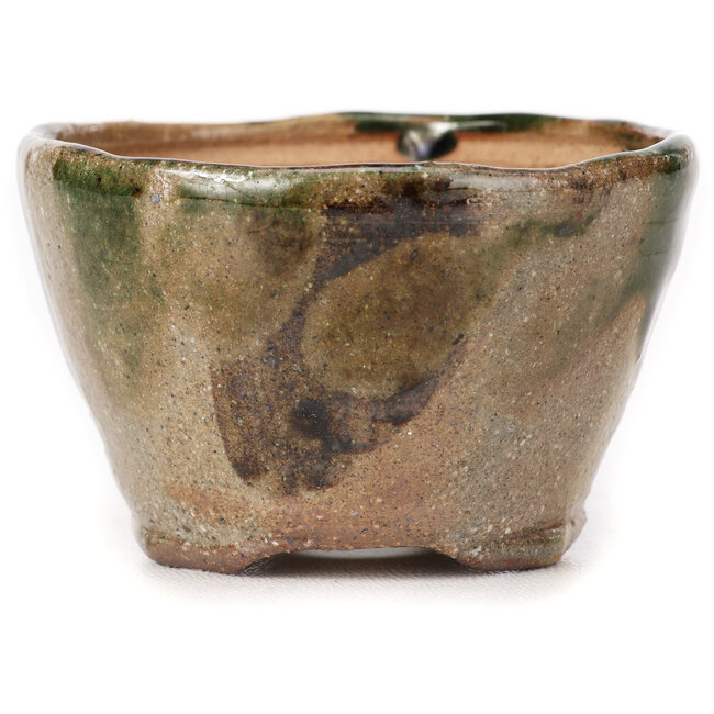 Runde grüne und braune Bonsaischale von Bonsai - 70 x 70 x 45 mm