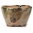 Vaso bonsai rotondo verde e marrone di Bonsai - 70 x 70 x 45 mm