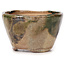 Vaso bonsai rotondo verde e marrone di Bonsai - 70 x 70 x 45 mm