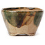 Round green and brown bonsai pot by Bonsai - 70 x 70 x 45 mm