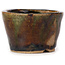 Vaso bonsai rotondo verde e marrone di Bonsai - 70 x 70 x 45 mm