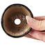 Pot à bonsaï rond vert et marron par Bonsai - 70 x 70 x 45 mm