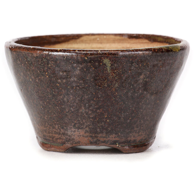 Pot à bonsaï rond vert et marron par Bonsai - 75 x 75 x 45 mm