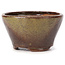 Pot à bonsaï rond vert et marron par Bonsai - 75 x 75 x 45 mm