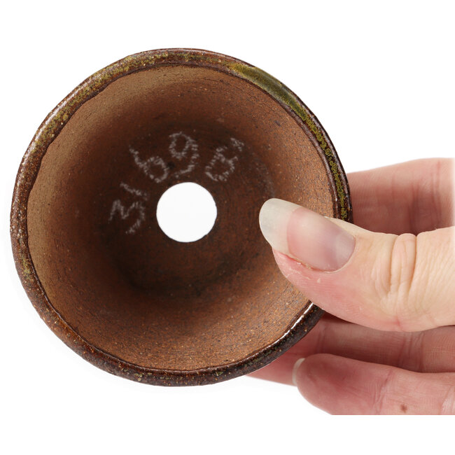 Round green and brown bonsai pot by Bonsai - 75 x 75 x 45 mm