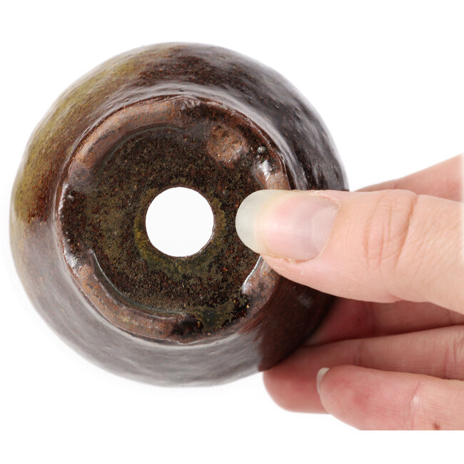 Pot à bonsaï rond vert et marron par Bonsai - 75 x 75 x 45 mm