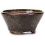 Round green and brown bonsai pot by Bonsai - 75 x 75 x 40 mm