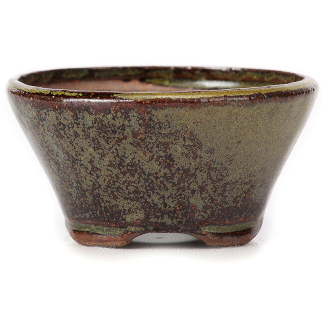Pot à bonsaï rond vert et marron par Bonsai - 75 x 75 x 40 mm