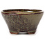 Pot à bonsaï rond vert et marron par Bonsai - 75 x 75 x 40 mm