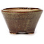Pot à bonsaï rond vert et marron par Bonsai - 75 x 75 x 45 mm