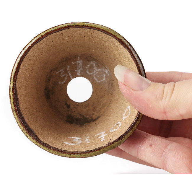 Pot à bonsaï rond vert et marron par Bonsai - 75 x 75 x 45 mm
