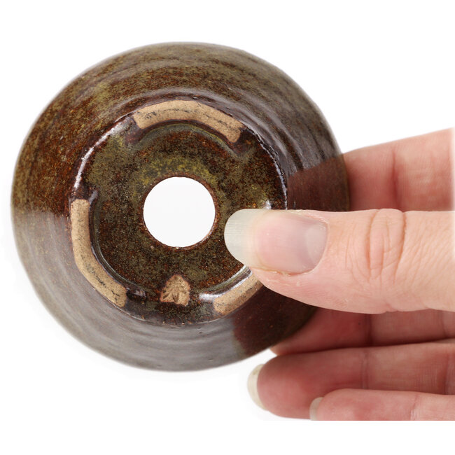 Pot à bonsaï rond vert et marron par Bonsai - 75 x 75 x 45 mm