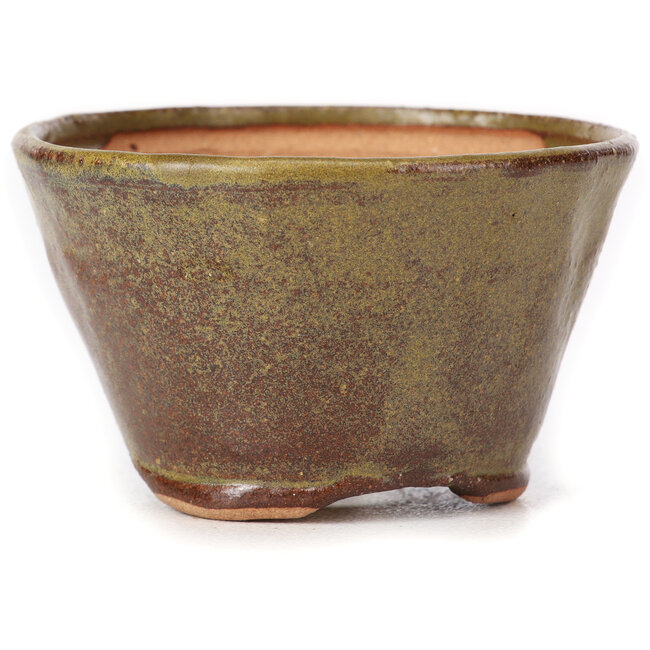 Vaso bonsai rotondo verde e marrone di Bonsai - 70 x 70 x 45 mm