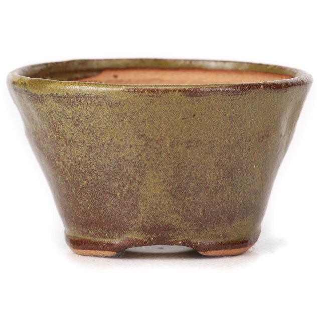 Ronde groene en bruine bonsaipot van Bonsai - 70 x 70 x 45 mm