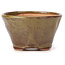 Round green and brown bonsai pot by Bonsai - 70 x 70 x 45 mm