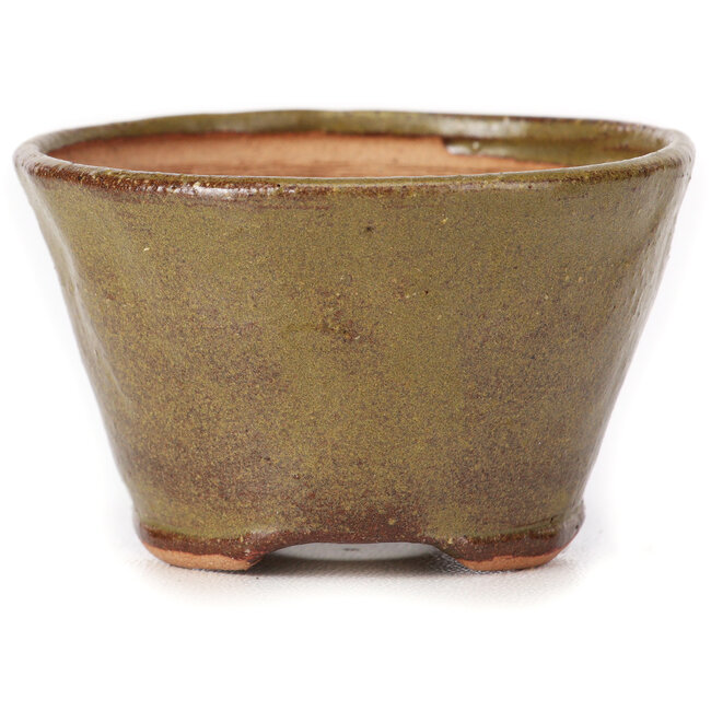 Runde grüne und braune Bonsaischale von Bonsai - 70 x 70 x 45 mm