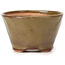 Vaso bonsai rotondo verde e marrone di Bonsai - 70 x 70 x 45 mm