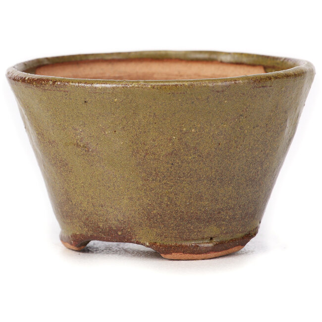 Pot à bonsaï rond vert et marron par Bonsai - 70 x 70 x 45 mm