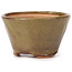 Vaso bonsai rotondo verde e marrone di Bonsai - 70 x 70 x 45 mm