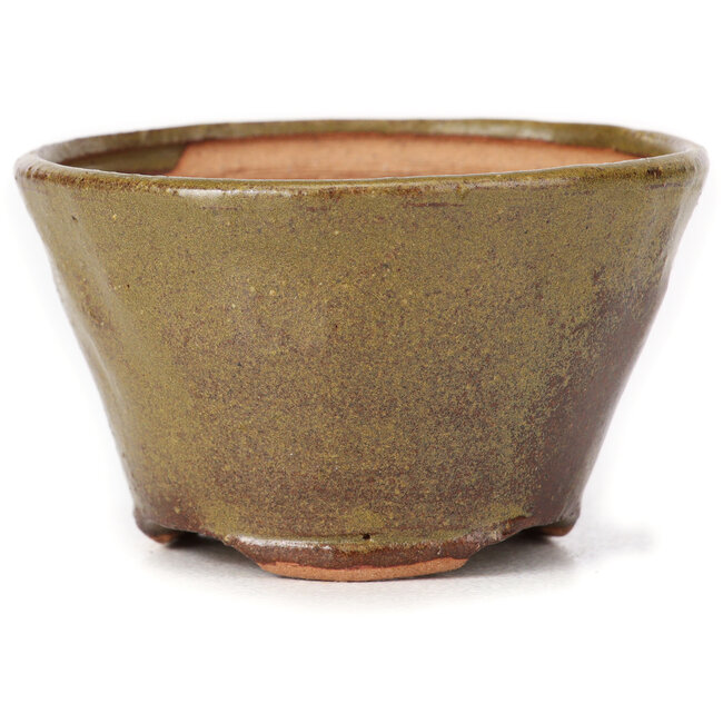 Runde grüne und braune Bonsaischale von Bonsai - 70 x 70 x 45 mm