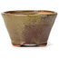 Vaso bonsai rotondo verde e marrone di Bonsai - 70 x 70 x 45 mm