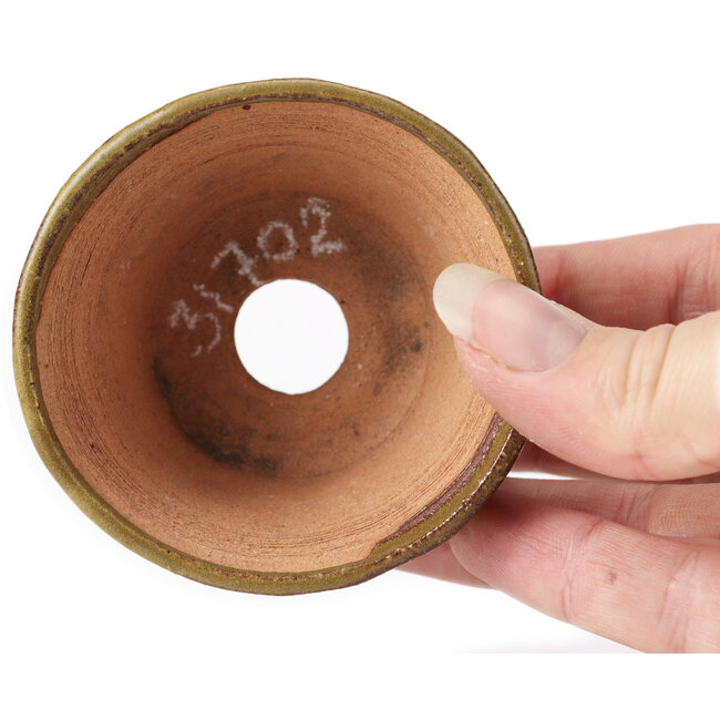 Round green and brown bonsai pot by Bonsai - 70 x 70 x 45 mm