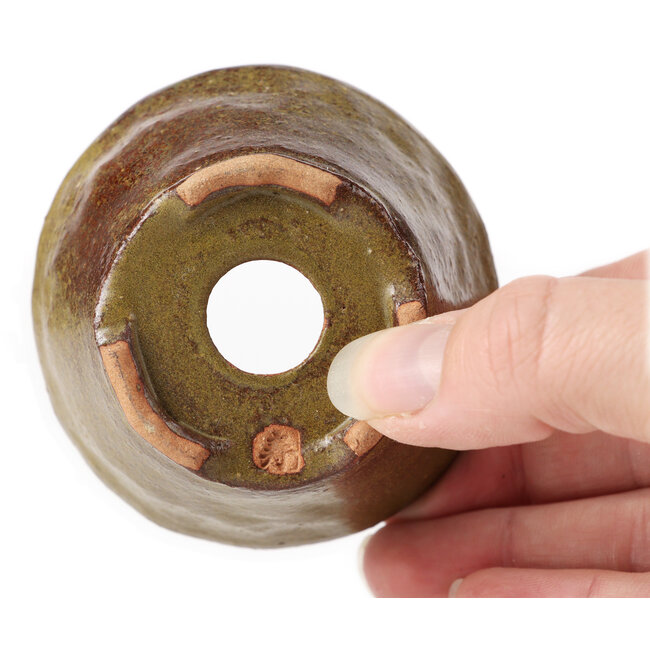 Pot à bonsaï rond vert et marron par Bonsai - 70 x 70 x 45 mm