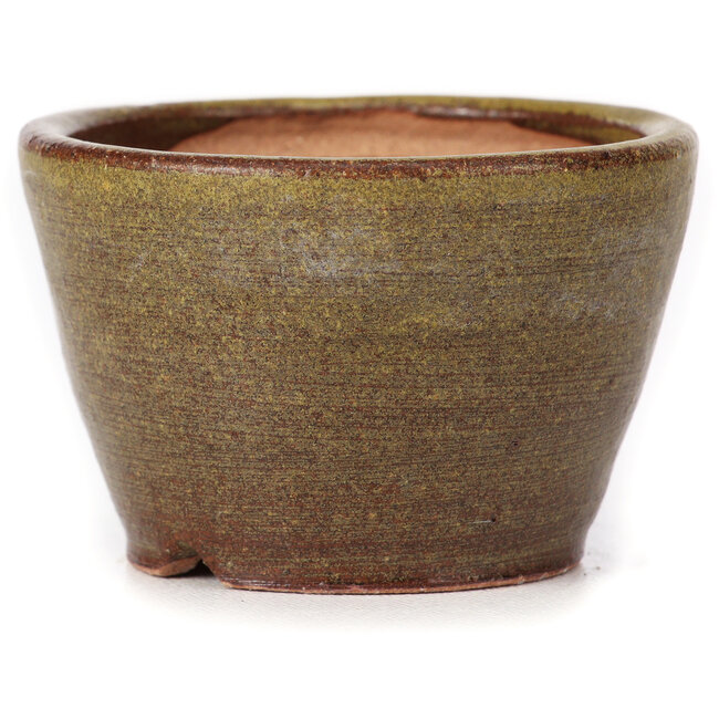 Round green and brown bonsai pot by Bonsai - 65 x 65 x 45 mm