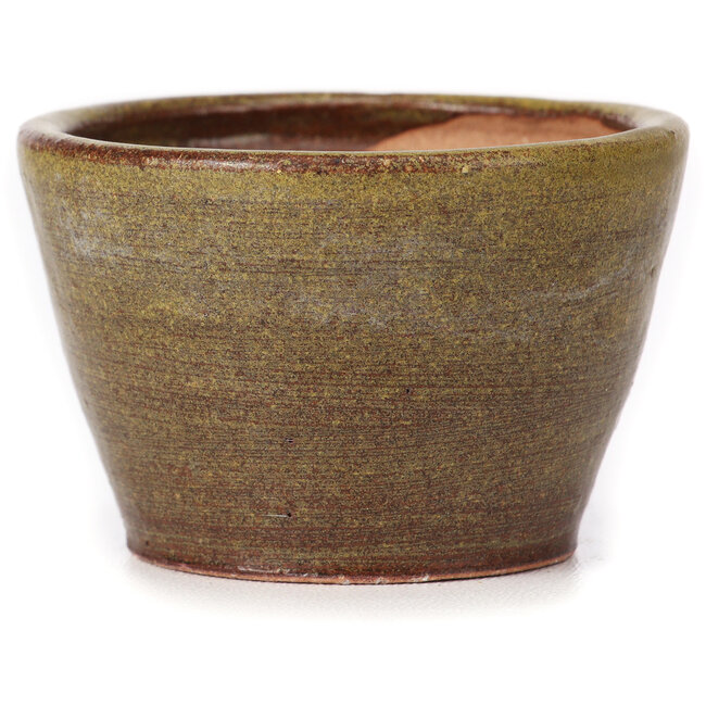 Round green and brown bonsai pot by Bonsai - 65 x 65 x 45 mm