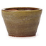 Pot à bonsaï rond vert et marron par Bonsai - 65 x 65 x 45 mm