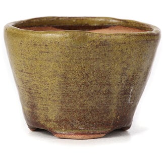 Bonsai 65 mm round green and brown bonsai pot by Bonsai, Japan