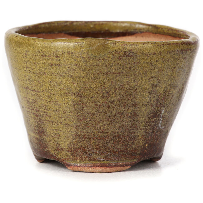 Pot à bonsaï rond vert et marron par Bonsai - 65 x 65 x 45 mm