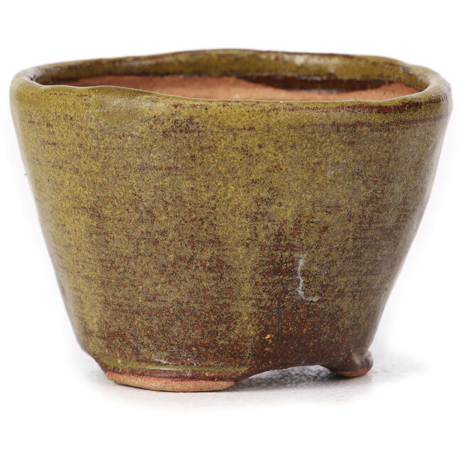 Round green and brown bonsai pot by Bonsai - 65 x 65 x 45 mm