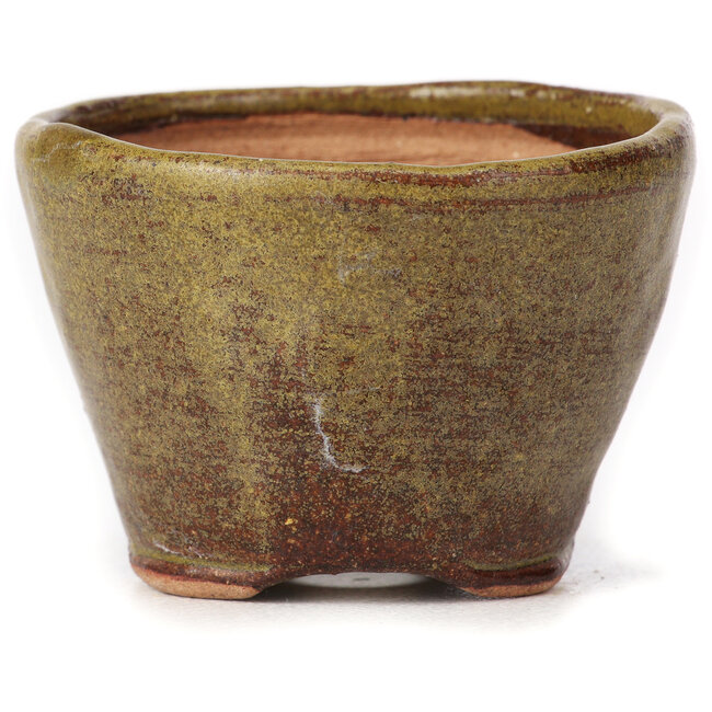 Round green and brown bonsai pot by Bonsai - 65 x 65 x 45 mm