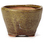 Pot à bonsaï rond vert et marron par Bonsai - 65 x 65 x 45 mm